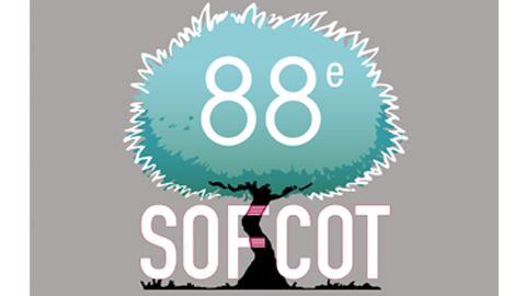 Programme congrès SOFCOT 2013