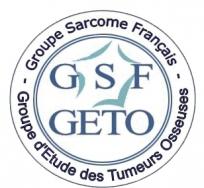 GSF GETO Logo