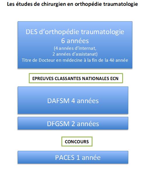 Formation orthopédiste