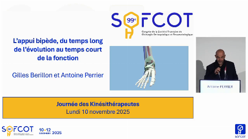 Session cheville : L’appui bipède, du temps long de l’évolution au temps court de la fonction