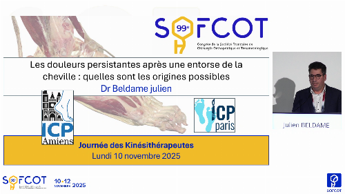 Session cheville : Les douleurs persistantes après une entorse de la cheville : quelles sont les origines possibles