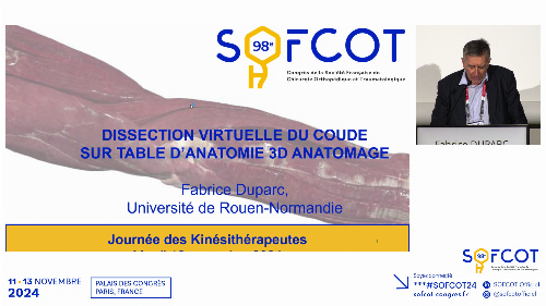 Dissection virtuelle du coude sur table d’anatomie 