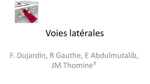Dans le labyrinthe des voies d’abord de la hanche	 (4)