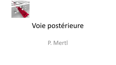 Dans le labyrinthe des voies d’abord de la hanche	 (5)