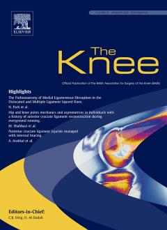 The knee