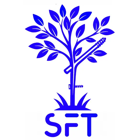 Logo SFT.jpg