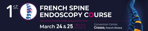 French Spine Endoscopy Course