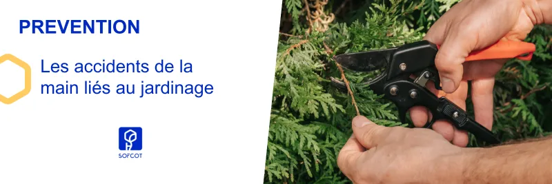 Les accidents de la mains liés au jardinage